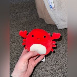 5 inch Carlos & No Name Octopus Dog Toys with Squeakers
